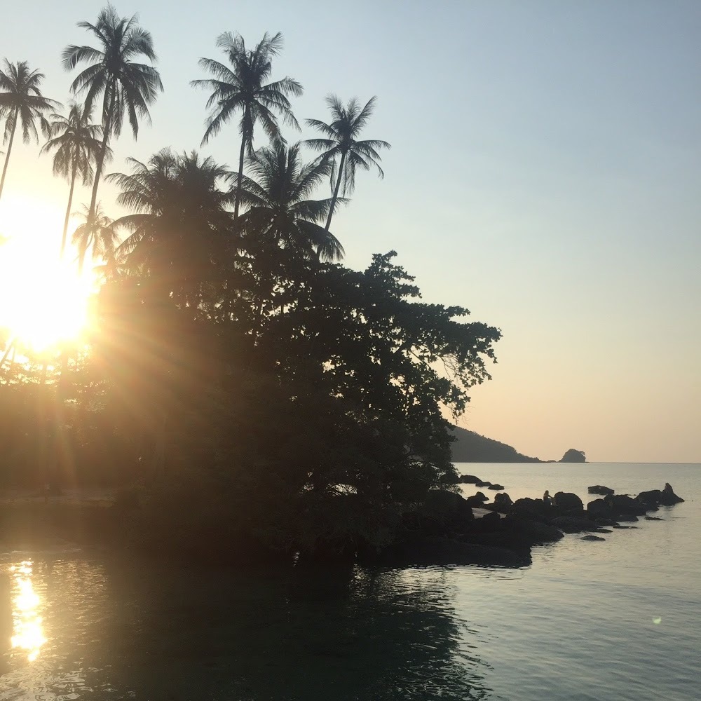 Meet your Posher, Sylvie